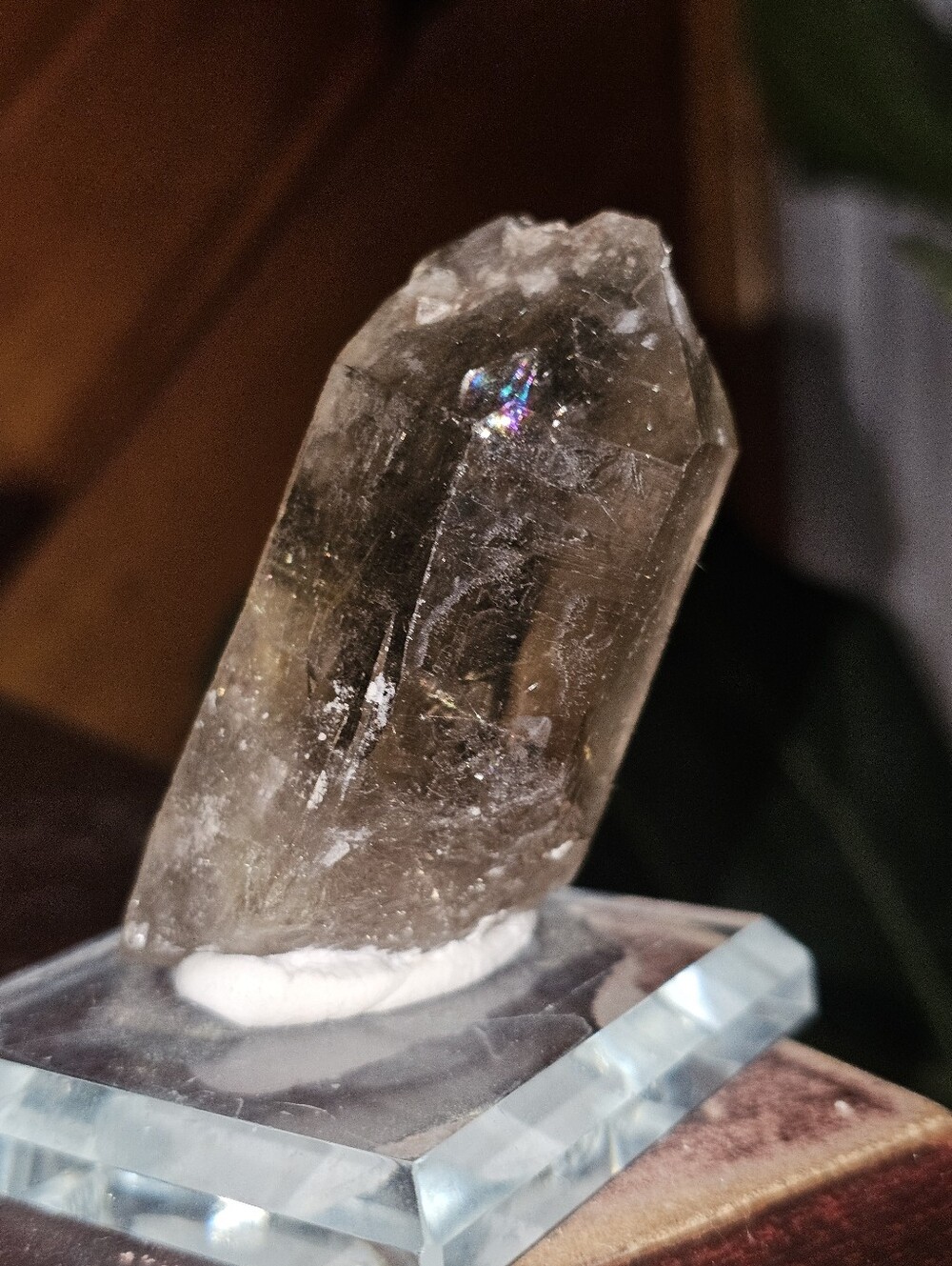 Rutilated Quartz - Picture 5 of 6